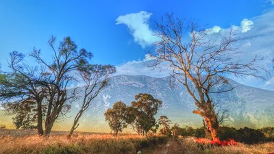 Stirling Range National Park - Photo 2