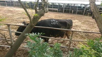 Lunbei Township - Photo 5