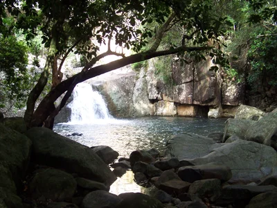 Paluma - Photo 3