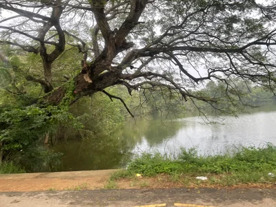 Puttalam - Photo 3