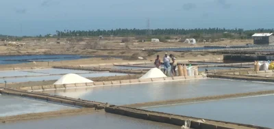 Puttalam - Photo 5