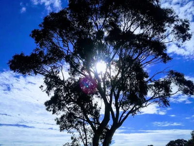 Sevenhill - Photo 5
