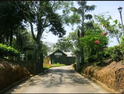 Dickoya - Photo 5