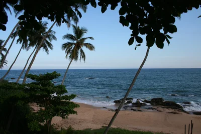Tangalle - Photo 4