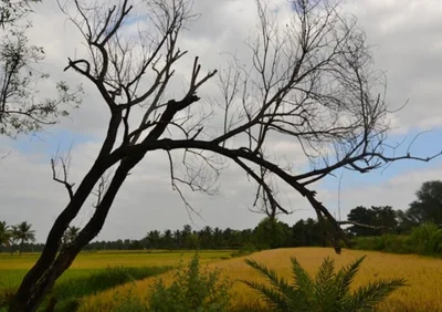 Madduru - Photo 5