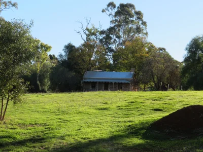 Mintaro - Photo 3
