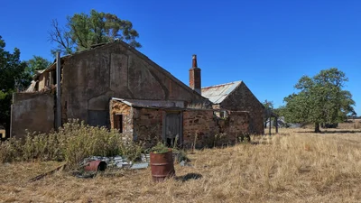 Mintaro - Photo 5