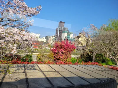 Kyoto - Photo 2