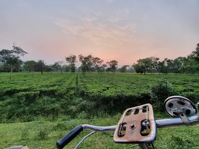 Alipurduar - Photo 4