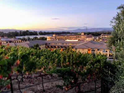 Napa Valley - Photo 4