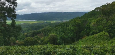 Menghai County - Photo 3