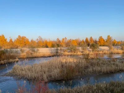 Guazhou County - Photo 3