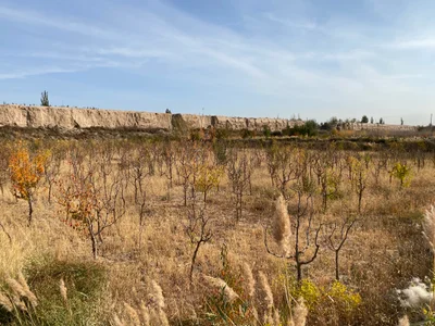 Guazhou County - Photo 4
