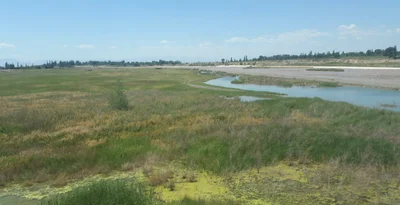 Guazhou County - Photo 5