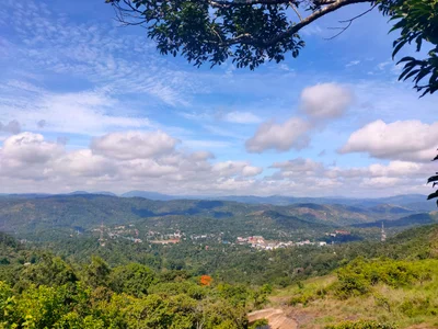 Nedumkandam - Photo 2