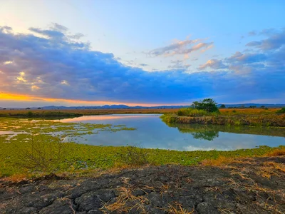 Mikumi National Park - Photo 5
