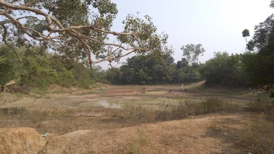 Bardhaman District - Photo 5