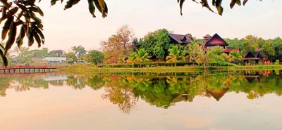 Bago - Photo 4