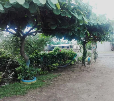 Naranjal - Photo 5