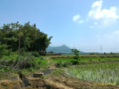 Guixi - Photo 2