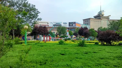 Longkou City - Photo 2