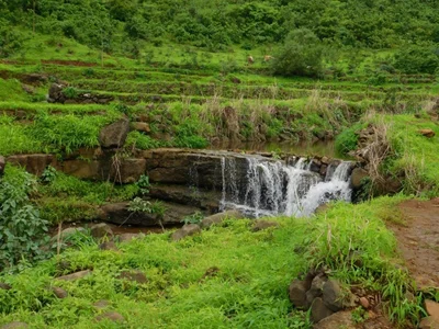 Karjat - Photo 4