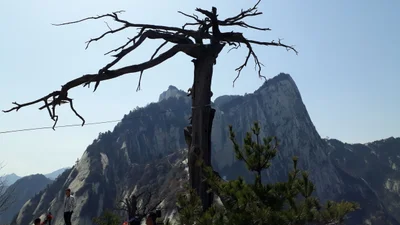 Weinan City - Photo 3