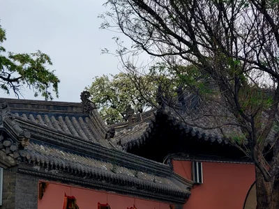 Chaoyang City - Photo 4