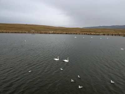 Hejing County - Photo 4