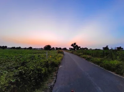 Pilani - Photo 5