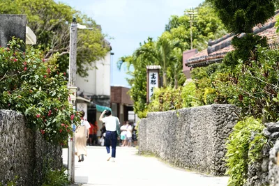 Yaeyama-gun - Photo 5