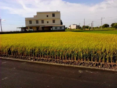 Shuilin Township - Photo 2