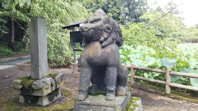 Abuta-gun - Photo 5