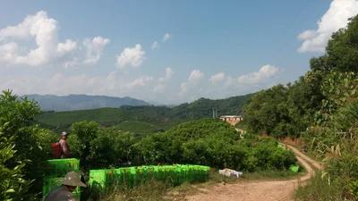 Pu'er - Photo 2