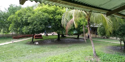 Ninglang Yi Autonomous County - Photo 3