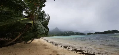 Grand Anse - Photo 3