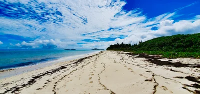 Grand Anse - Photo 4