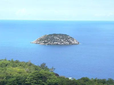 Grand Anse - Photo 5