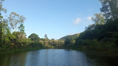 Baie Lazare - Photo 3