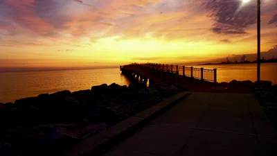 Whiting - Photo 4