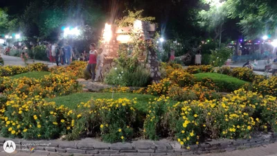 Villa Las Rosas - Photo 3