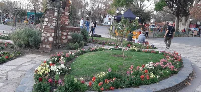 Villa Las Rosas - Photo 4