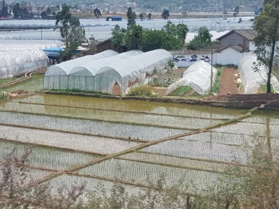 Chuxiong City - Photo 3