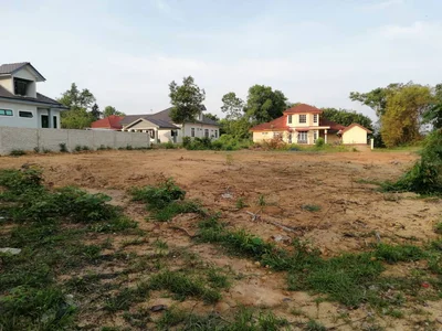Machang - Photo 4
