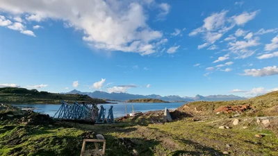Isla Navarino - Photo 2