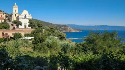 Corse-du-Sud - Photo 4