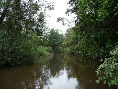 Matoury - Photo 5