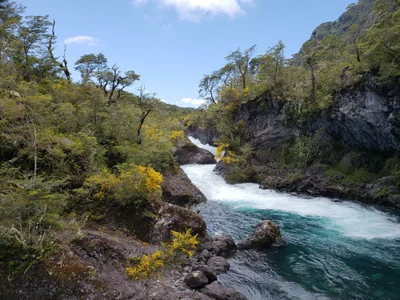 Parque Nacional Vicente Perez Rosales - Photo 4