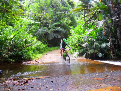 Calima - Photo 4