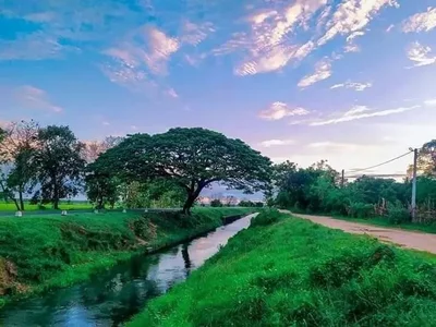 Kantale - Photo 2